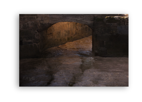 Sotos de la Albolafia