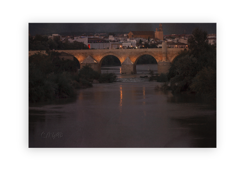 Sotos de la Albolafia