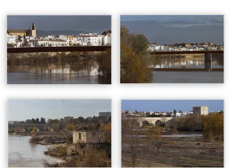 Sotos de la Albolafia