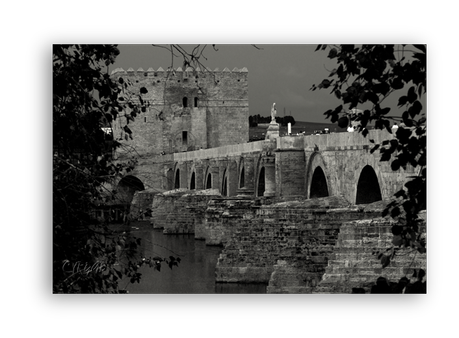 Sotos de la Albolafia