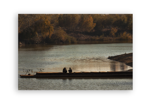 Sotos de la Albolafia