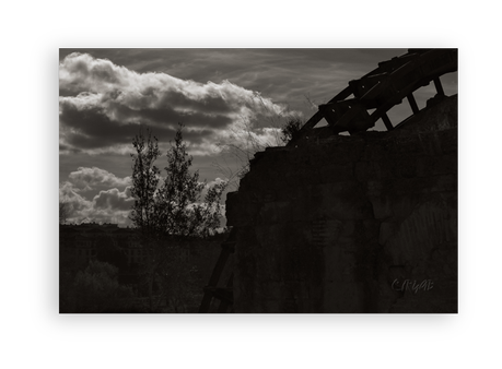 Sotos de la Albolafia