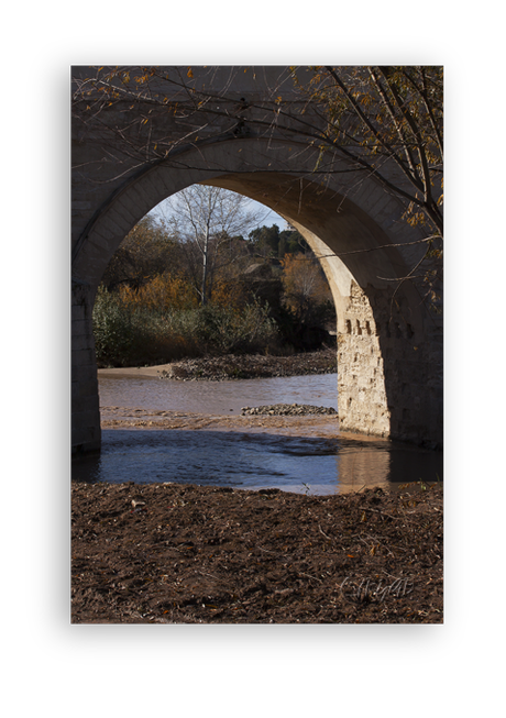 Sotos de la Albolafia