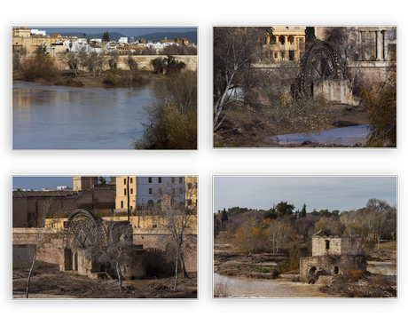 Sotos de la Albolafia