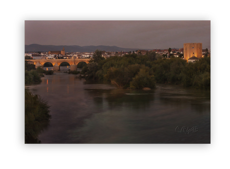 Sotos de la Albolafia