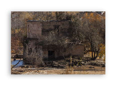 Sotos de la Albolafia