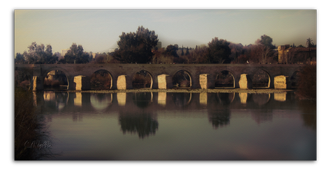 Sotos de la Albolafia