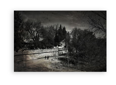 Sotos de la Albolafia