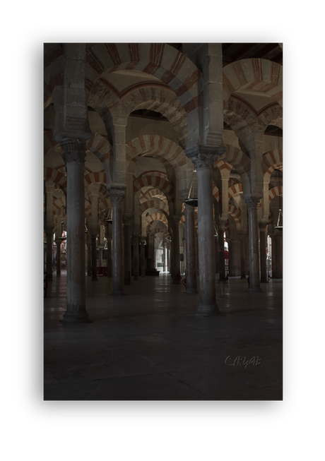 Mezquita de Córdoba –Interior-