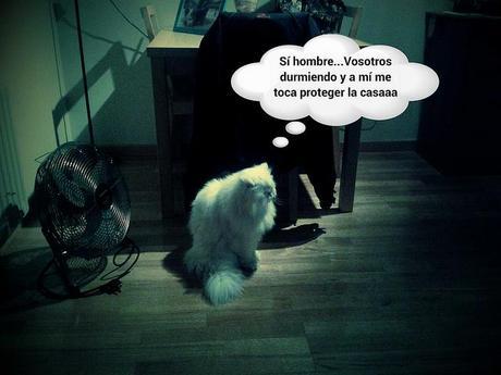 estamos tan agustito