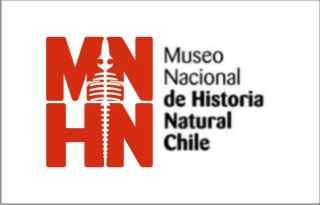 Talleres “Bus ConCiencia” junto al MNHN (Santiago, Chile)