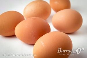 Huevos de gallina