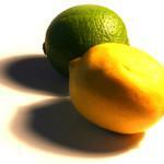 ¿Los perros pueden comer cítricos?