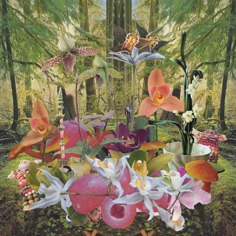 Mosnter-Rally-Return-To-Paradise-Cover