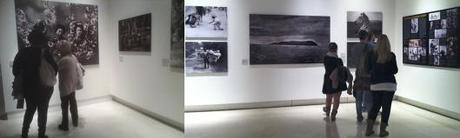 National Geographic, Roma, Palazzo Esposizioni 2