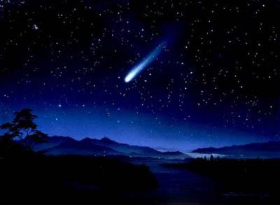  photo estrella-de-navidad_zpsb30a97a9.jpg