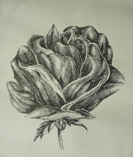 1º de ESO A y B Tema 4 Representación de la realidad. Luces y sombras 1º de ESO A y B Tema 4 Representación de la realidad. Luces y sombras