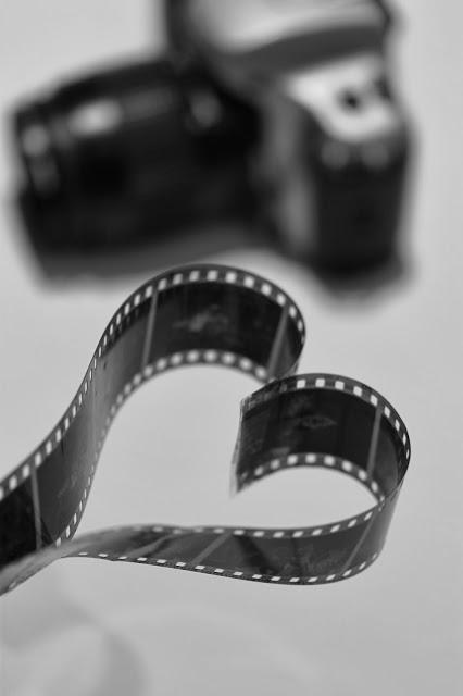 Pasión por la fotografía  2014