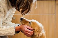 Tus sueños necesitan cariño