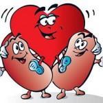 Receta para limpiar los riñones