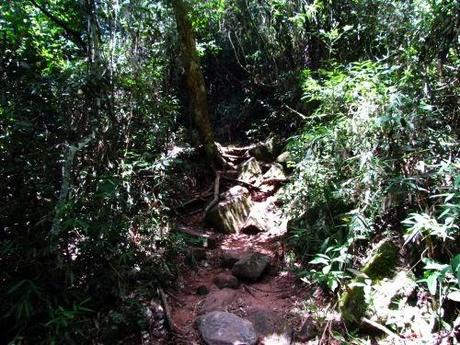 Salto Guaraní o Falso Cristal. Ybycuí. Paraguay