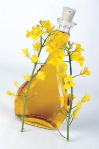 aceite de canola
