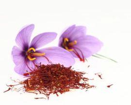 Dried saffron spice and Saffron flowers
