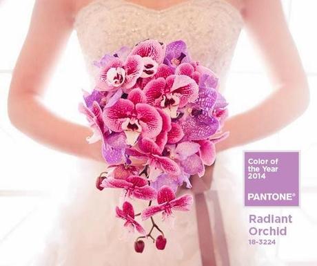 Es Tendencia: Radiant Orchid, el color del Año 2014 según Pantone