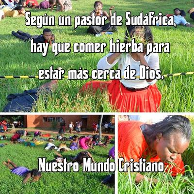 Pastor sudafricano hace que su congregación coma pasto ‘para estar más cerca de Dios’