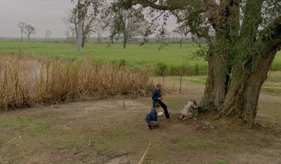 True Detective, Helix, Banshee, Archer, Girls, y Justified