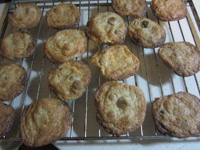 GALLETAS DE HARINA DE ESPELTA, ARANDANOS Y PAPAYA CON CHOCOLATE BLANCO