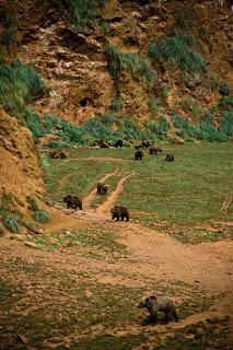 Parque de Cabárceno, Cantabria