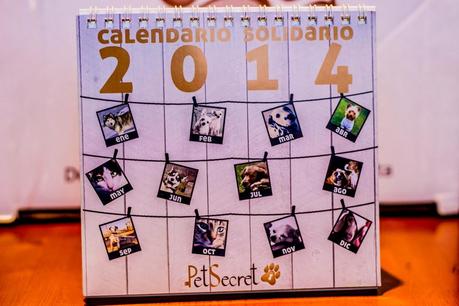 Puppies Stories: PetSecret For Maikel