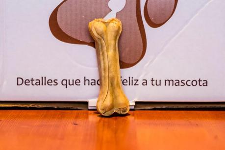 Puppies Stories: PetSecret For Maikel