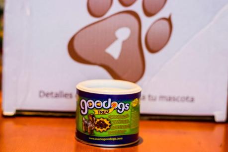 Puppies Stories: PetSecret For Maikel