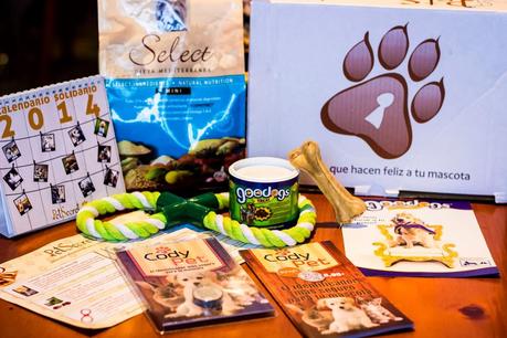 Puppies Stories: PetSecret For Maikel