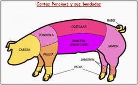 BONDIOLA A LA CERVEZA Y MIEL