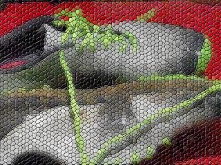 MT110. Trail running minimal