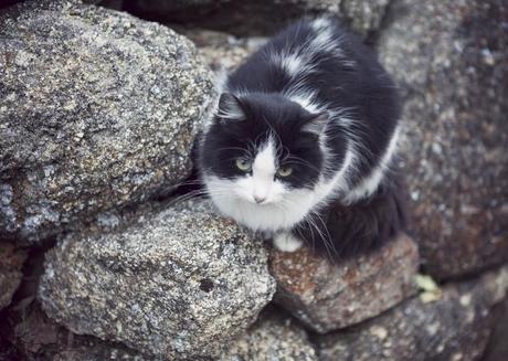 street style barbara crespo bonilla avila travels xmas christmas 2013 village fashion blogger outfit