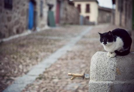 street style barbara crespo bonilla avila travels xmas christmas 2013 village fashion blogger outfit