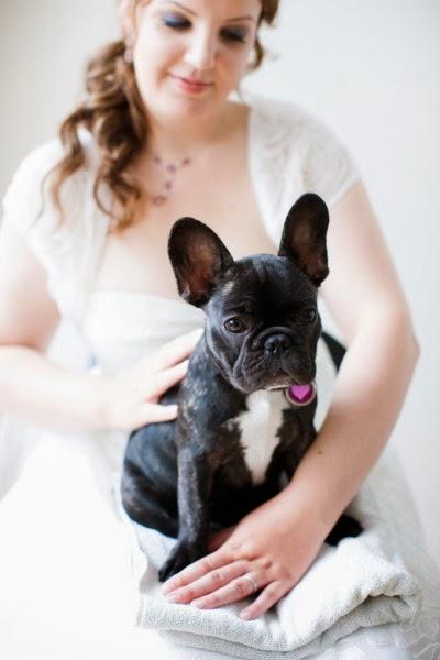 Mi compañero ideal es amoroso, fiel e incondicional ¿y el tuyo?