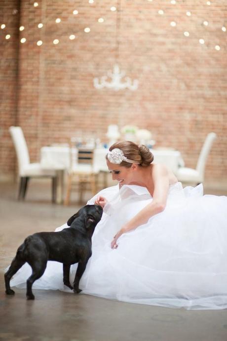 Mi compañero ideal es amoroso, fiel e incondicional ¿y el tuyo?