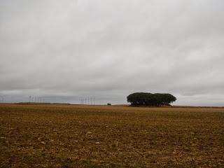 Camino de Santiago. De Rabé de las Calzadas a Castrojeriz. 26,04 km