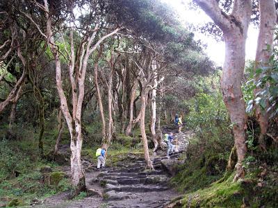 Camino Inca a Machupicchu: el alma mineral