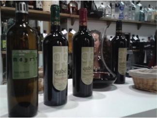 Cata Espaella Vinopremier