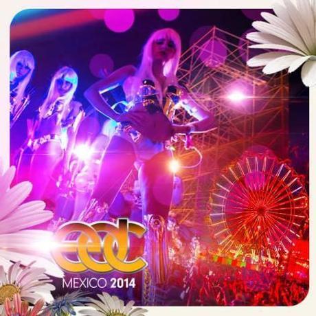 1555417_1450951395123860_562780807_n