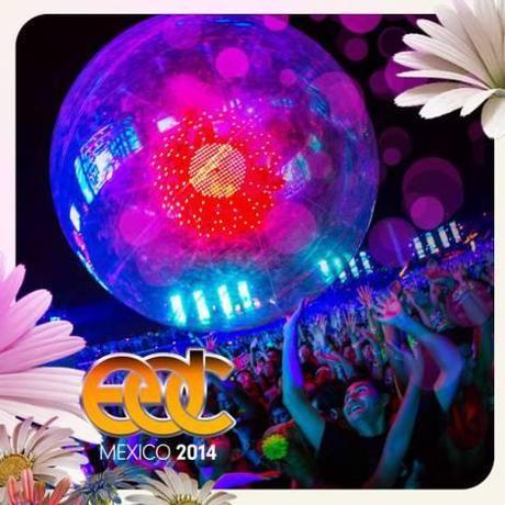 484816_1450056388546694_130099625_n