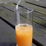 En qué consiste la Terapia Gerson