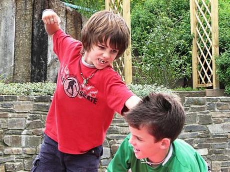 Agresividad infantil