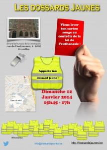 NACEN LAS CASACAS AMARILLAS